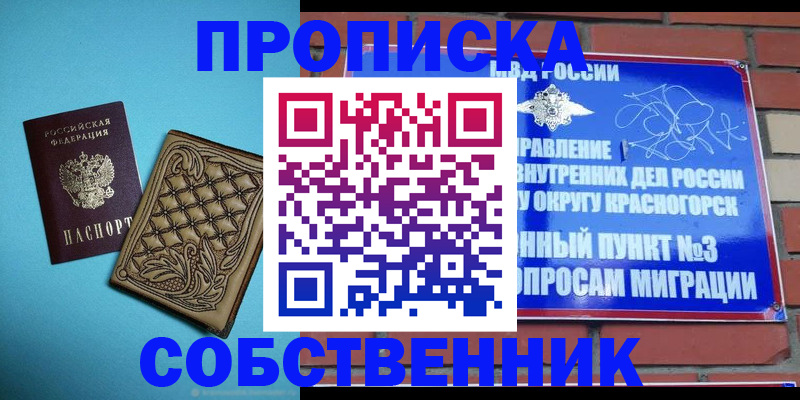 форма 3 в Петропавловске-Камчатском